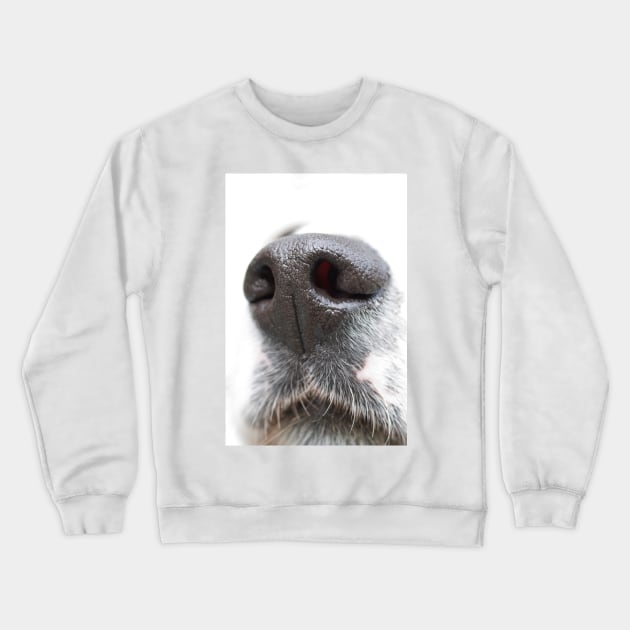 A Dog&#39;s Nose Always Knows Crewneck Sweatshirt by karenadams